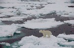 [10009654]