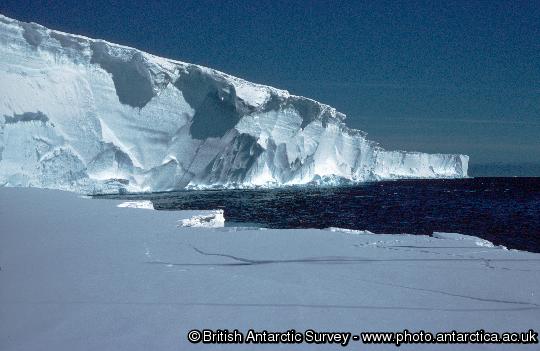 Ice cliffs of the Brunt Ice Shelf near Mobster creek