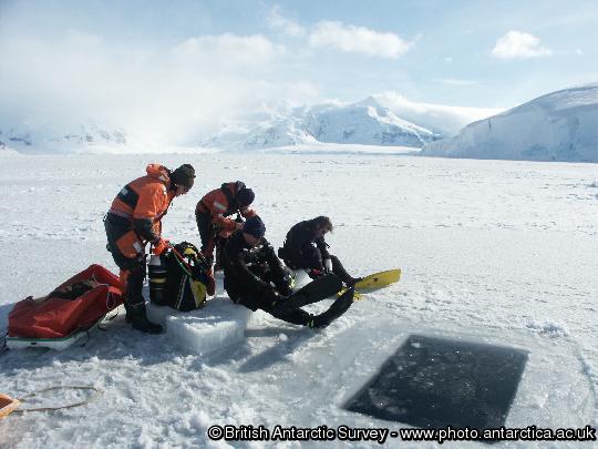 Andy Miller (Marine Assistant) and standby diver Andy Wilson get help kitting up for a routine biological monitoring dive.  South Cove Rothera Research Station.
This image is associated with the 2005-2010 BAS science programme: BIOFLAME - Biodiversity, Function, Limits and Adaptation from Molecules to Ecosystems and Long Term Monitoring and Survey (LTMS) programme.
