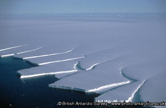 Icebergs calving from the edge of the Brunt Ice shelf, Weddell Sea.
