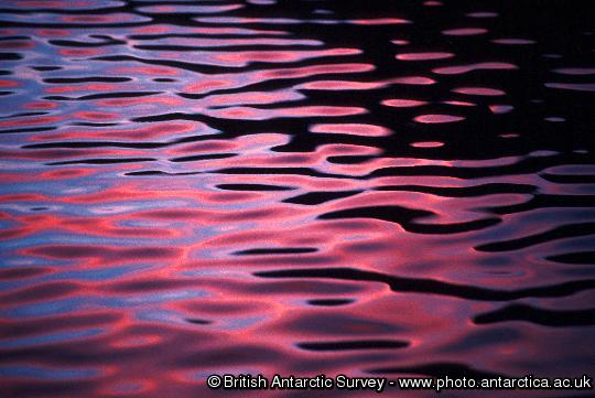 Sunset reflected in the bay at Bird Island.