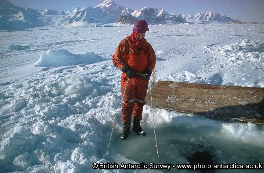 Linesman (Stuart Wallace) monitoring life line for divers working under one metre thick fast ice winter 1997.