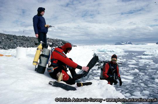 Divers kitting up on the shore prior to commencing a dive.  One member of the dive team always remains on the shore to provide assistance to the pair in the water if necessary. Here Sara Lawrence is the safety officer, Lloyd Peck and Alice Chapman will spend about 20 minutes in the water visiting study sites along the shore line.