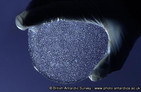 Slice of ice core from Berkner Island, depth 120m.  Trapped air bubbles (an archive of the past atmosphere) are visible in the ice.
This image is associated with the 2005-2010 BAS science programme: CACHE- Climate and Chemistry: Forcings, Feedbacks and Phasings in the Earth System.