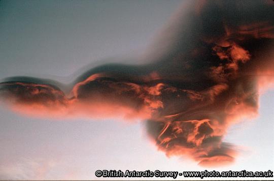Lenticular alto-cumulus cloud backlit by the setting sun above Jason Peak.