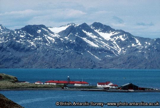 View of King Edward Point Research Station on South Georgia Island