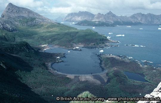 View of Bird Island research station from the top of Stejneger Peak  with South Georgia in the background