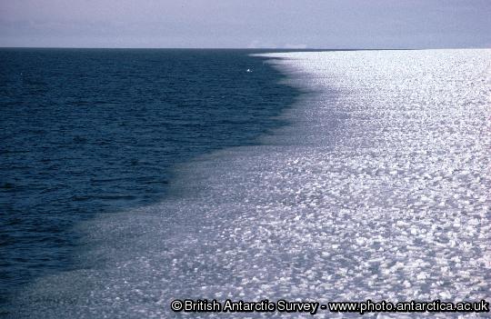 The Ice edge, the line between open water and sea ice.