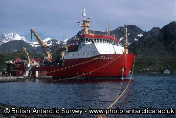 RRS Ernest Shackleton moored at King Edward Point, March 2001