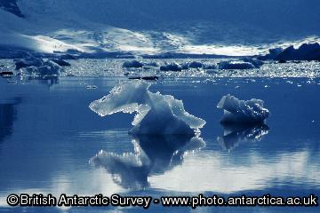 Iceberg bits close to Rothera Point on Adelaide Island