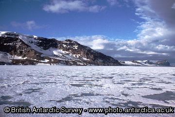 Summer sea ice around the Antarctic Peninsula