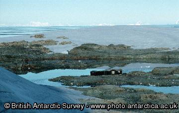 Wordie House - the old base was occupied from 1947-1954