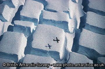 BAS Twin Otter flying low over a striking crevasse field on the English Coast, Palmer Land on the Antarctic Peninsula.
This image is associated with the 2005-2010 BAS science programme: GEACEP (Greenhouse to Ice-House Evolution of the Antarctic Cryosphere and Palaeoenvironment).