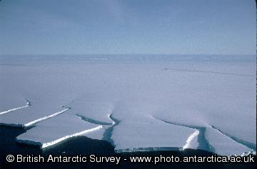 Icebergs about to calve from ice shelf.  Viewed from the air.