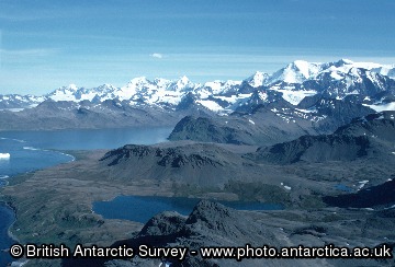 South Georgia landscape