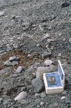 Microclimate Squirrel data logger at terrestrial field site (Keble Valley); thermistor probes recording temperature and humidity in soil and moss near a melt stream.