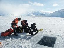 Andy Miller (Marine Assistant) and standby diver Andy Wilson get help kitting up for a routine biological monitoring dive.  South Cove Rothera Research Station.
This image is associated with the 2005-2010 BAS science programme: BIOFLAME - Biodiversity, Function, Limits and Adaptation from Molecules to Ecosystems and Long Term Monitoring and Survey (LTMS) programme.
