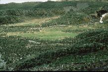 Tussock grass ( Parodiochloa flabellata , dark green) and Antarctic hair grass ( Deschampsia antarctica , light green) lawn