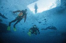 Divers under newly formed fast ice.