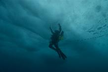 Diver under ice in Hangar Cove. Near Rothera Research Station.