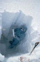 Taking snow core samples