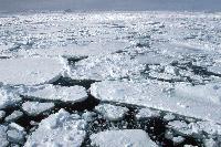 Pack ice in the Weddell sea