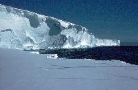 Ice cliffs of the Brunt Ice Shelf near Mobster creek