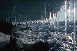 [10002939]
