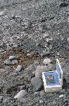 [10001363]
