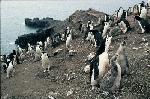 [10006315]