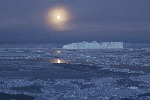 [10009629]