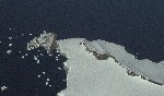 [10009878]