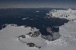 [10009879]