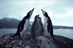 [10003354]