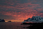 [10010478]