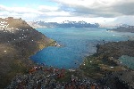 [10010483]