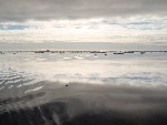[10010495]