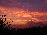 [10010503]