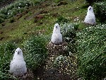 [10010506]
