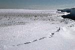 [10005308]