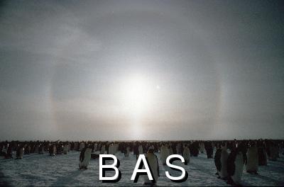 [10000275]