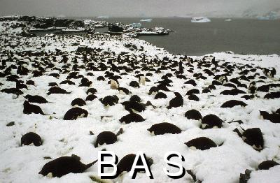 [10000431]