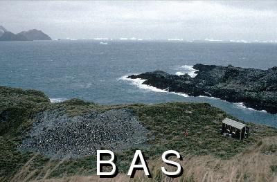 [10005682]