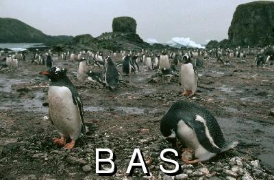 [10005800]