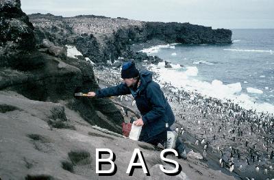 British Antarctic Survey Photographic Database