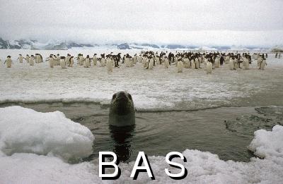[10000714]