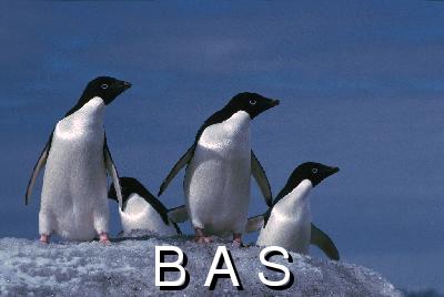 [10005942]