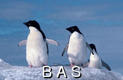 [10006302]