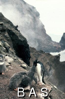 [10006319]