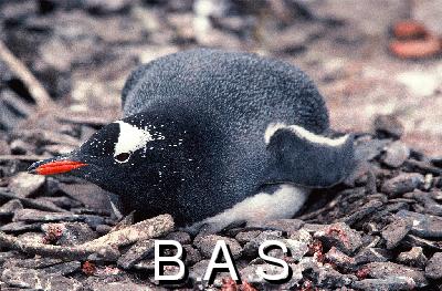 [10006422]